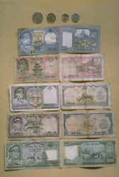 PH02954J.jpg (67951 bytes)