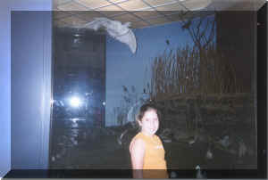 katerina.jpg (543859 bytes)