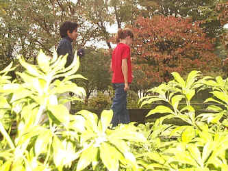 wpe1.jpg (61271 bytes)